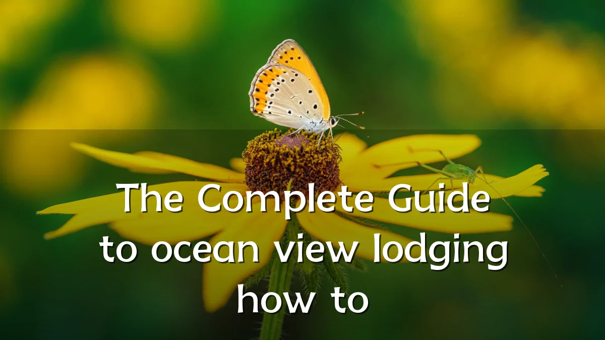 The Complete Guide to ocean view lodging how to