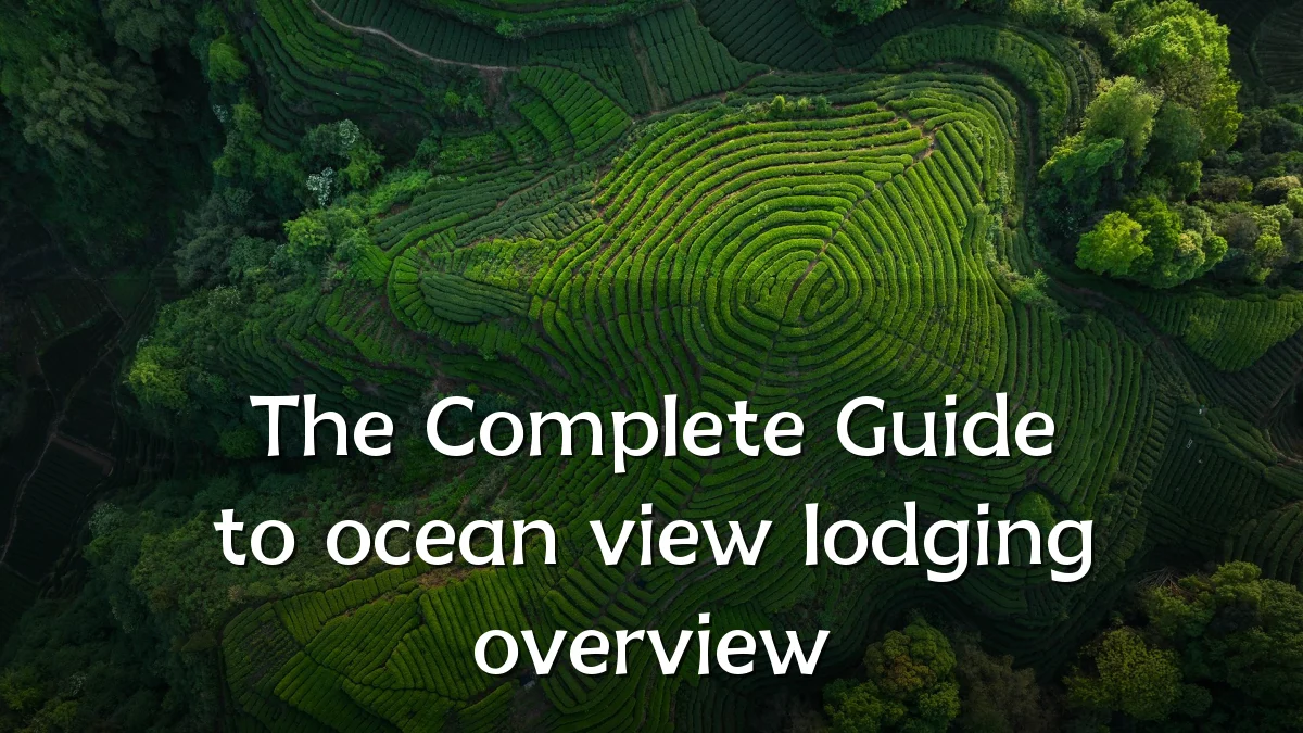 The Complete Guide to ocean view lodging overview
