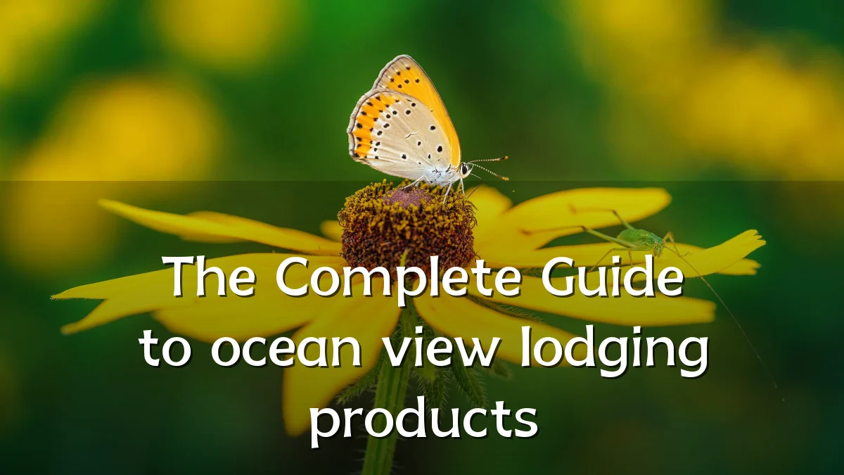 The Complete Guide to ocean view lodging products