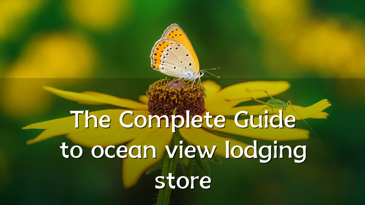 The Complete Guide to ocean view lodging store