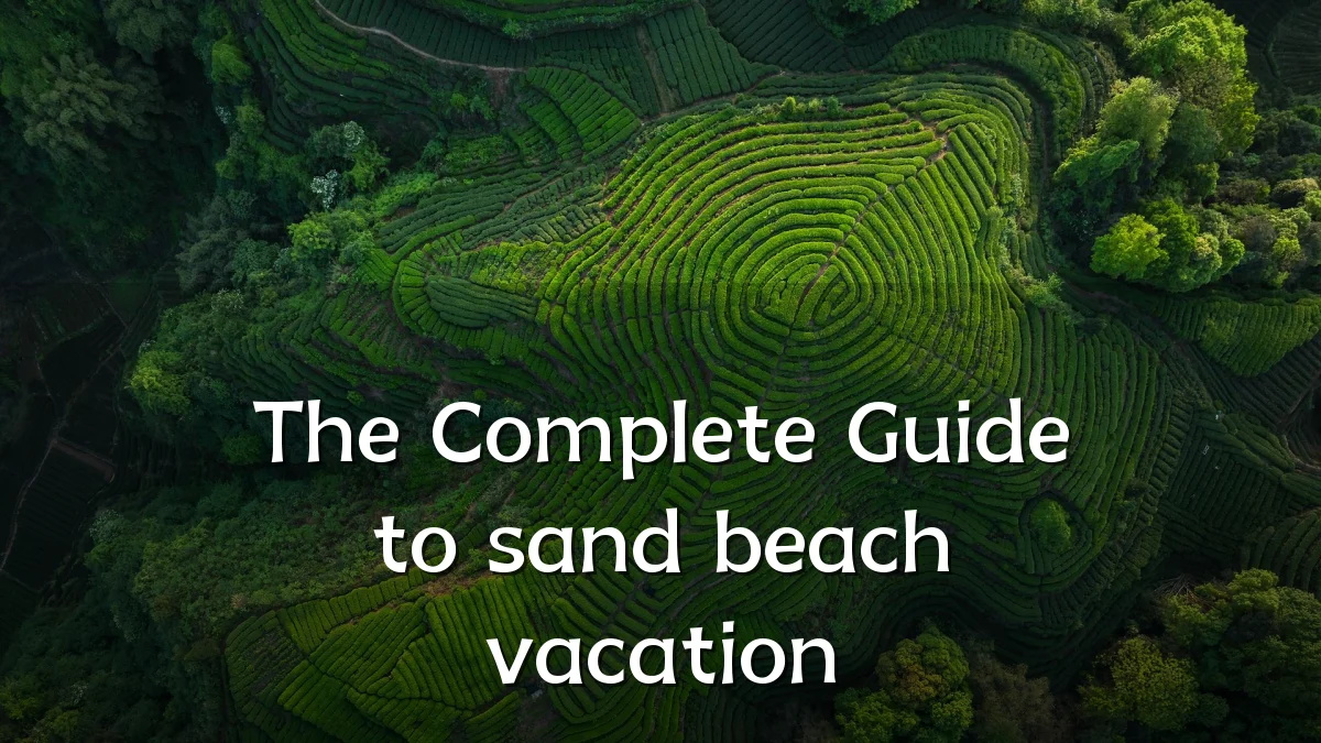 The Complete Guide to sand beach vacation