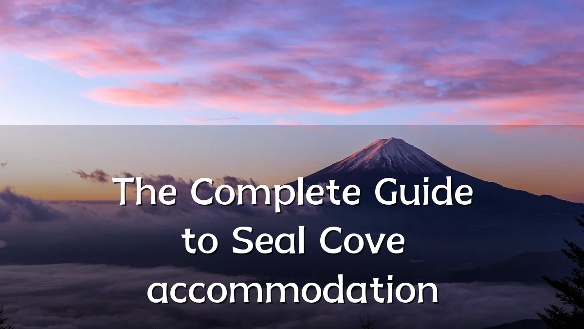 The Complete Guide to Seal Cove accommodation