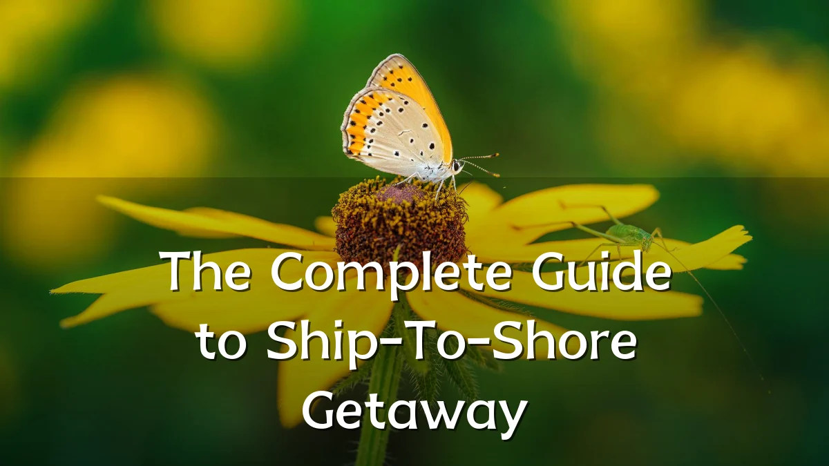 The Complete Guide to Ship-To-Shore Getaway
