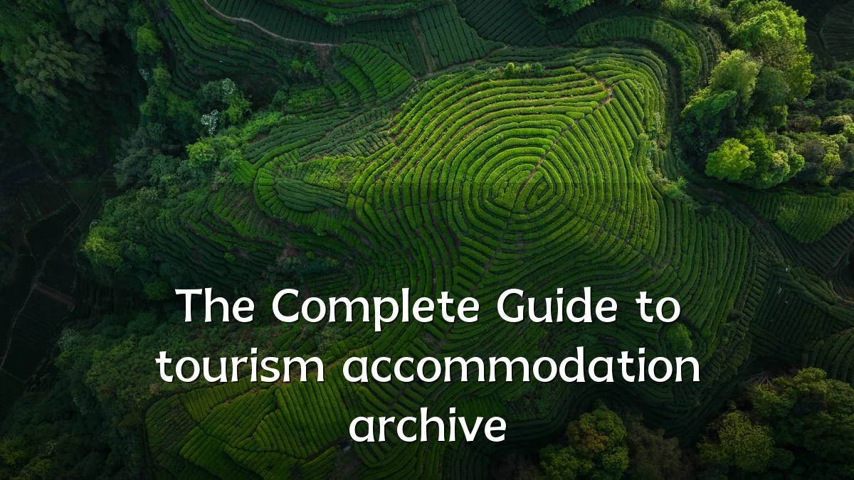 The Complete Guide to tourism accommodation archive