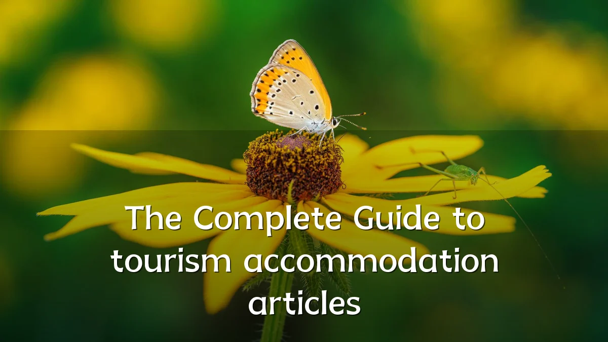 The Complete Guide to tourism accommodation articles