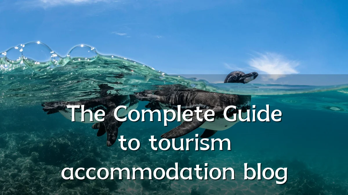 The Complete Guide to tourism accommodation blog