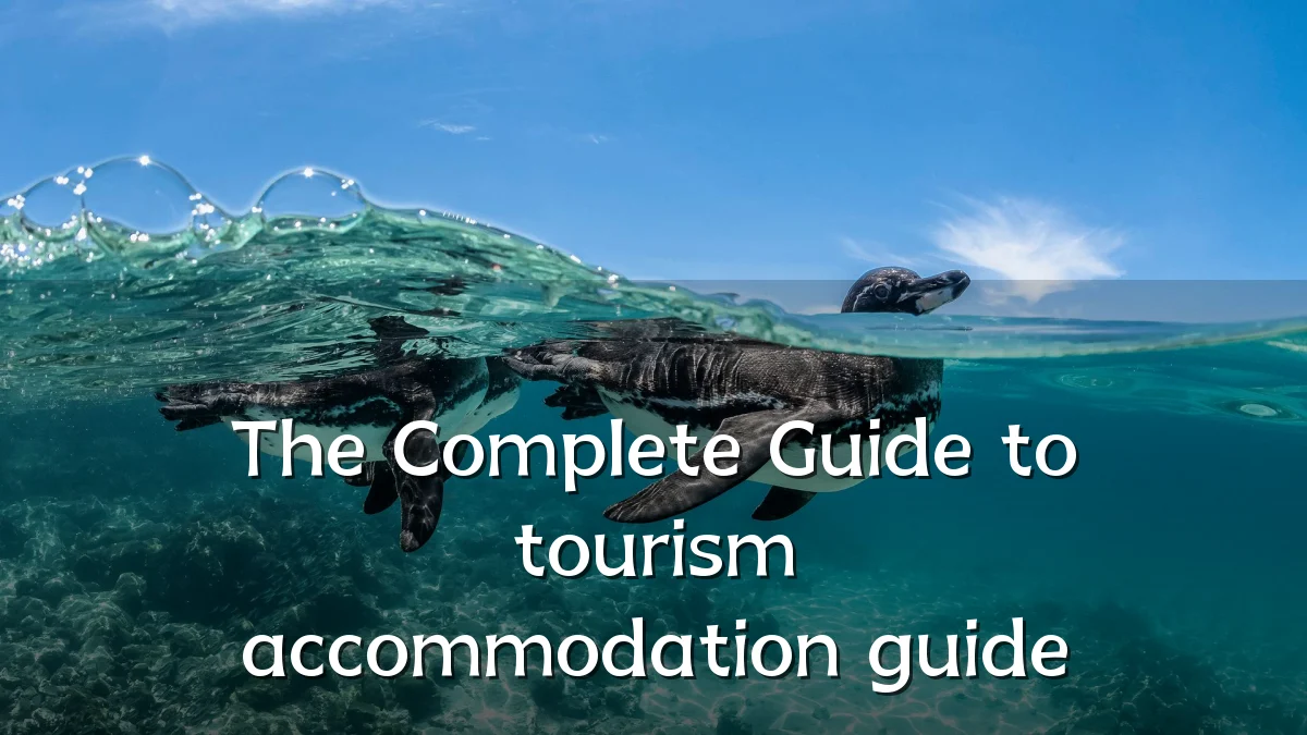 The Complete Guide to tourism accommodation guide