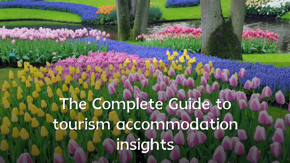 The Complete Guide to tourism accommodation insights