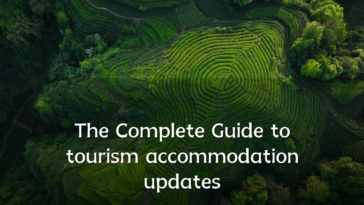The Complete Guide to tourism accommodation updates