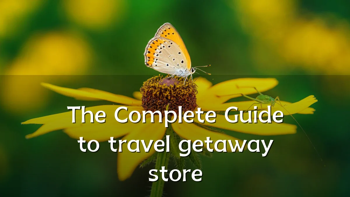 The Complete Guide to travel getaway store