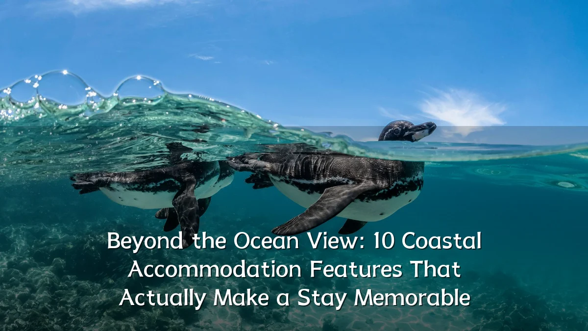 Beyond the Ocean View: 10 Coastal Accommodation Features That Actually Make a Stay Memorable