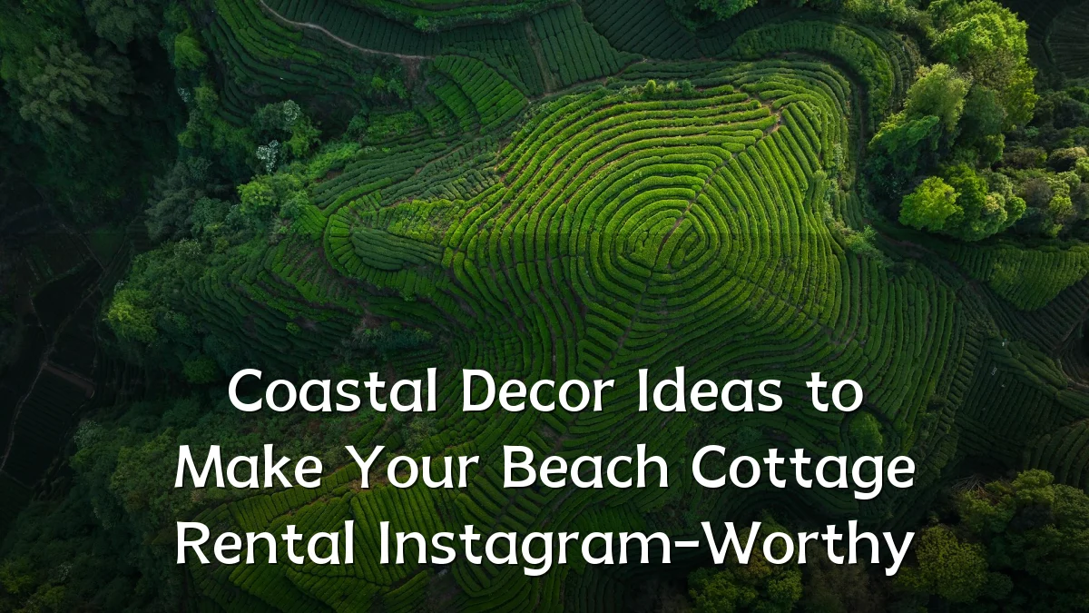 Coastal Decor Ideas to Make Your Beach Cottage Rental Instagram-Worthy