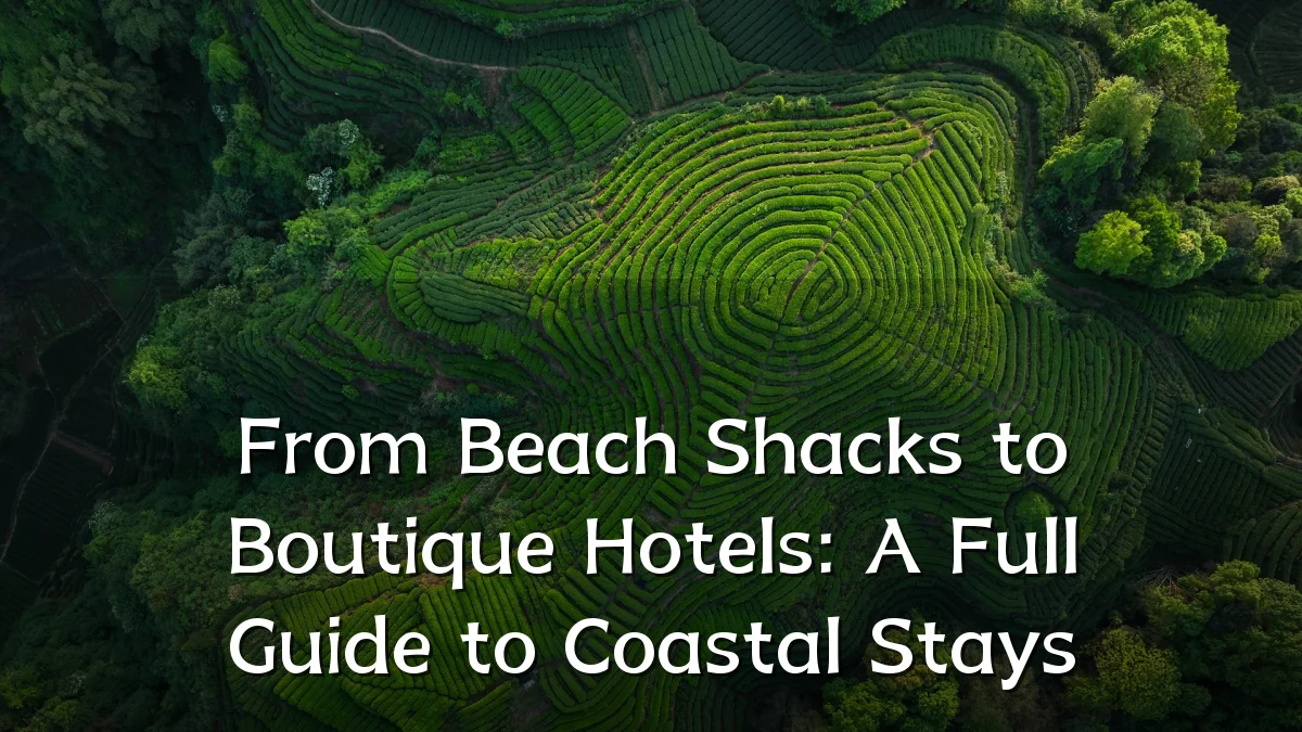From Beach Shacks to Boutique Hotels: A Full Guide to Coastal Stays