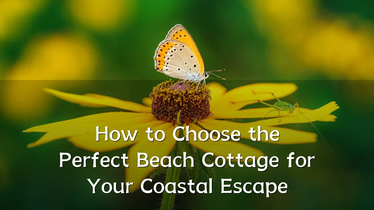 How to Choose the Perfect Beach Cottage for Your Coastal Escape
