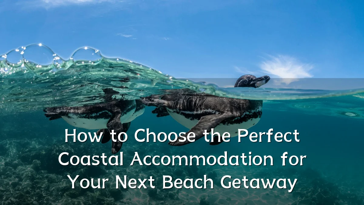 How to Choose the Perfect Coastal Accommodation for Your Next Beach Getaway
