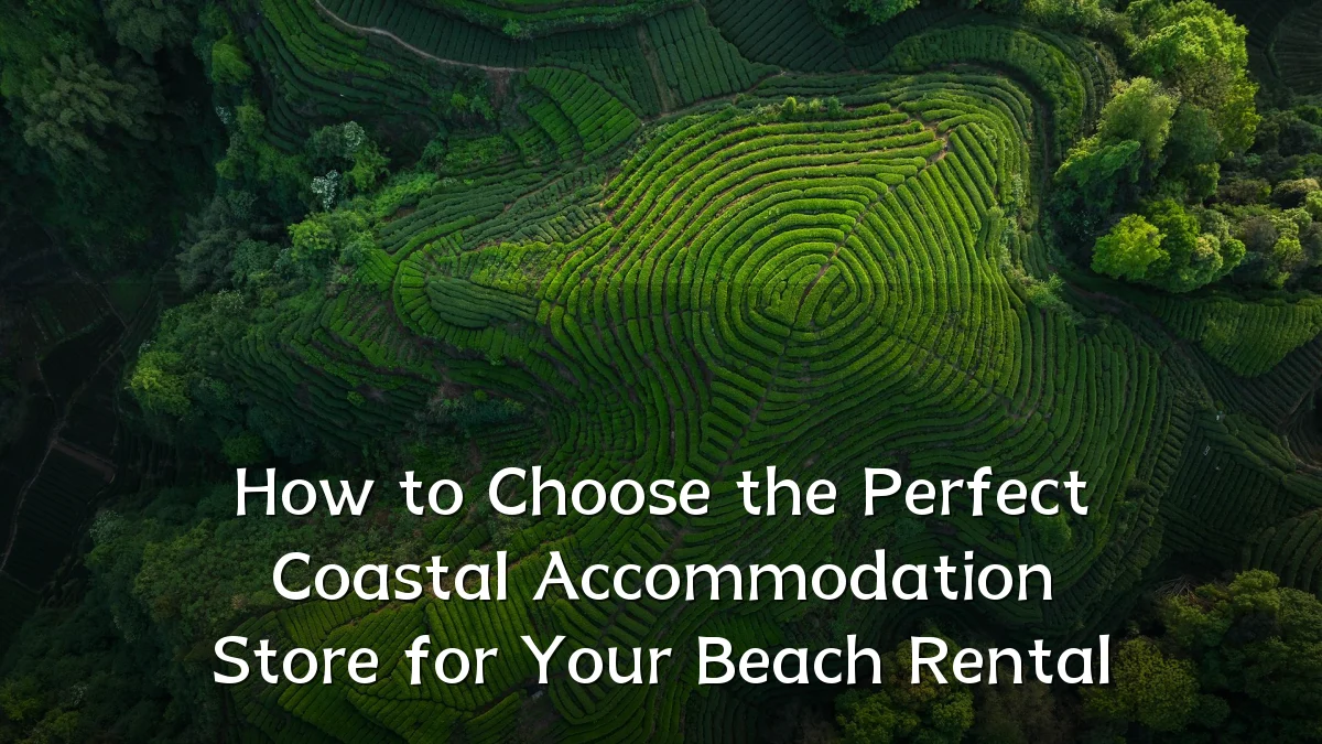 How to Choose the Perfect Coastal Accommodation Store for Your Beach Rental