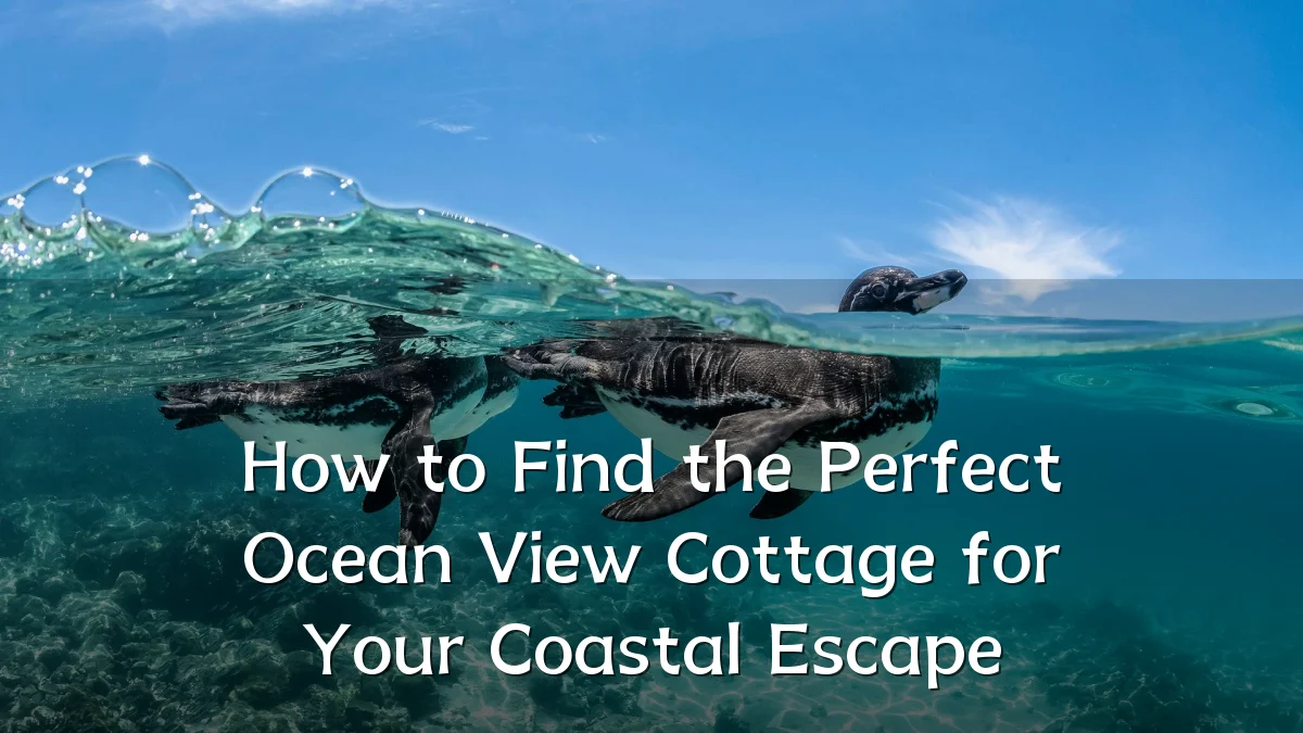 How to Find the Perfect Ocean View Cottage for Your Coastal Escape