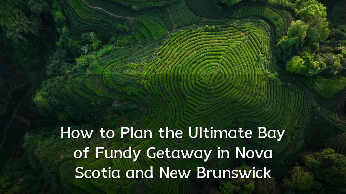 How to Plan the Ultimate Bay of Fundy Getaway in Nova Scotia and New Brunswick