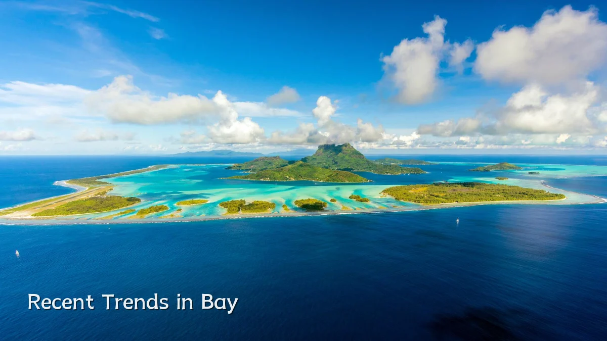 Recent Trends in Bay
