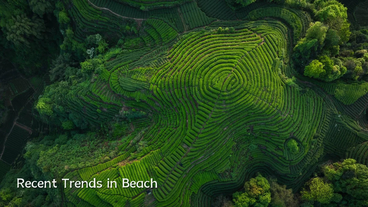 Recent Trends in Beach