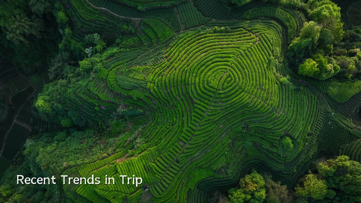 Recent Trends in Trip