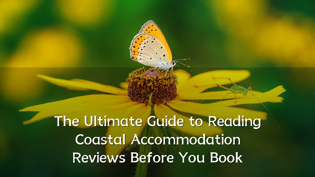 The Ultimate Guide to Reading Coastal Accommodation Reviews Before You Book