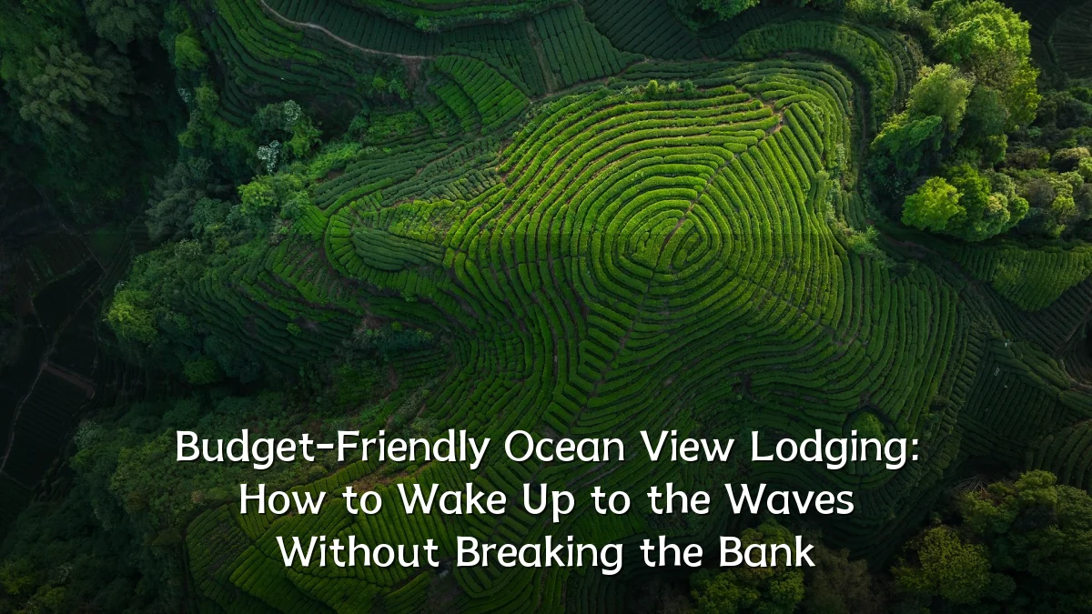 Budget-Friendly Ocean View Lodging: How to Wake Up to the Waves Without Breaking the Bank