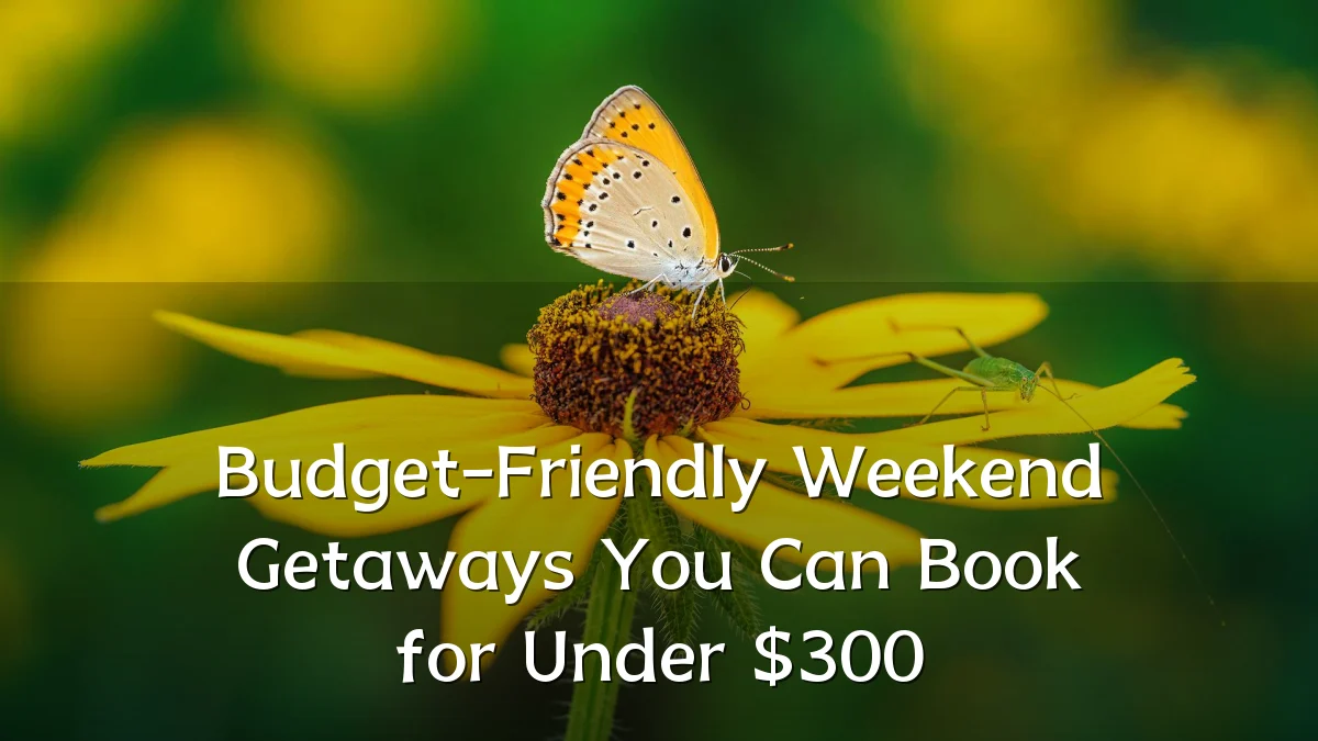 Budget-Friendly Weekend Getaways You Can Book for Under $300