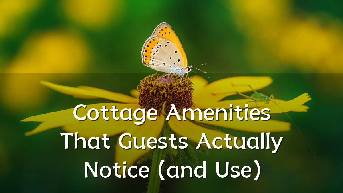 Cottage Amenities That Guests Actually Notice (and Use)