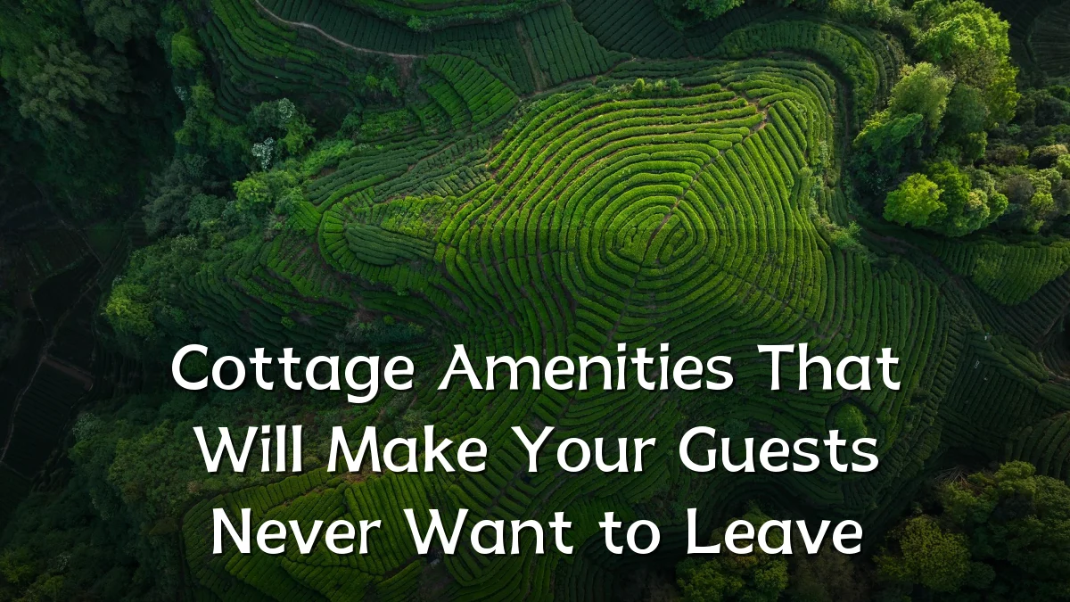 Cottage Amenities That Will Make Your Guests Never Want to Leave