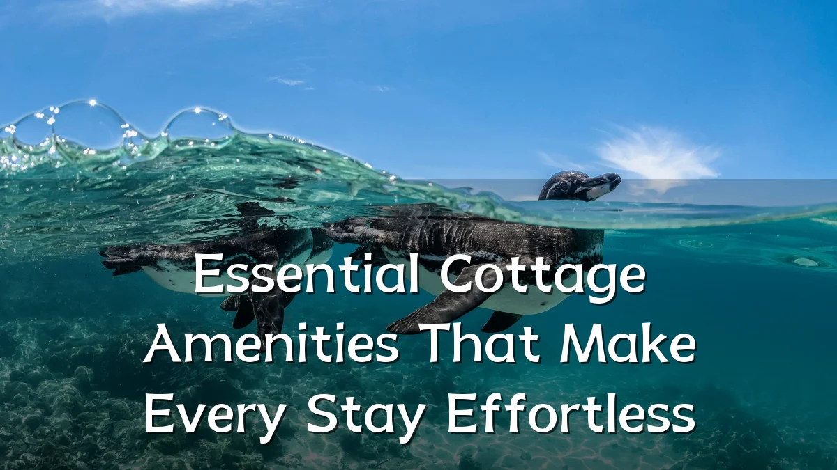 Essential Cottage Amenities That Make Every Stay Effortless