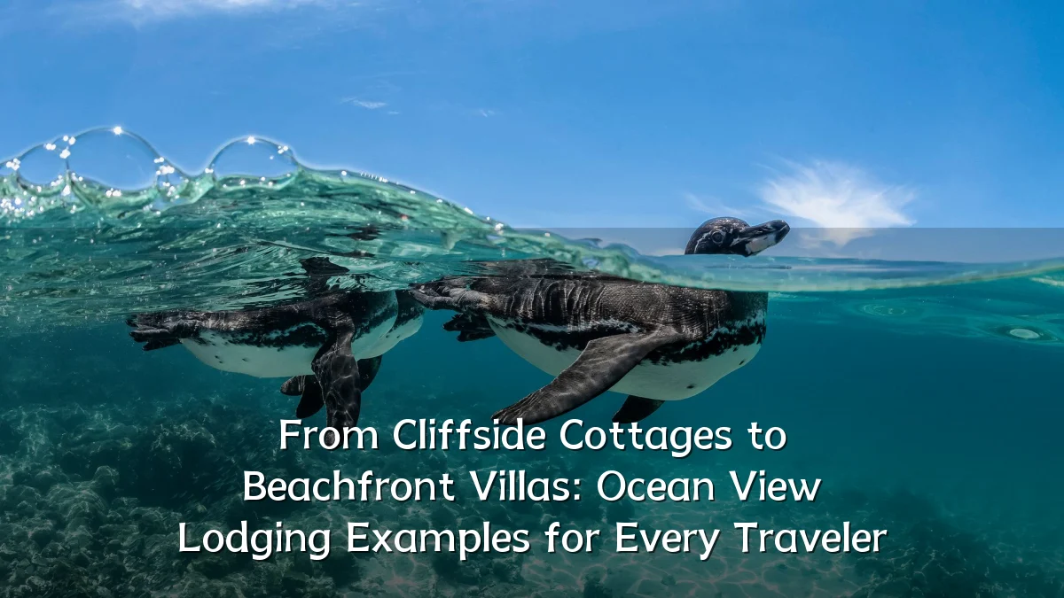From Cliffside Cottages to Beachfront Villas: Ocean View Lodging Examples for Every Traveler