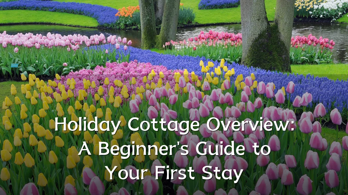Holiday Cottage Overview: A Beginner's Guide to Your First Stay