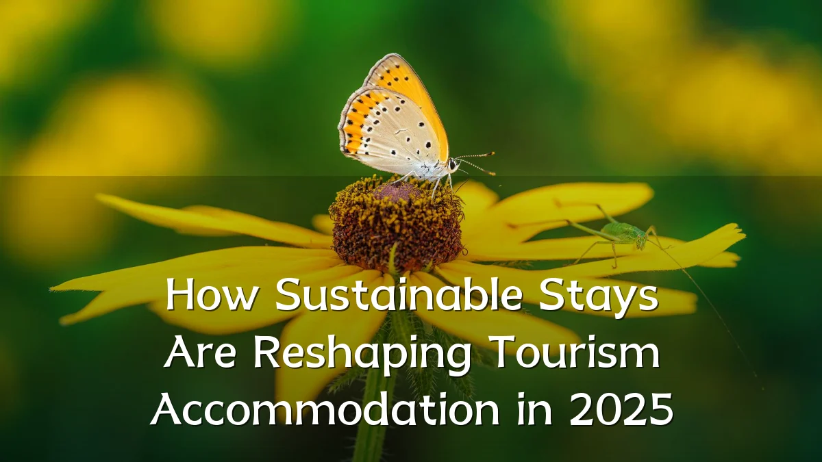 How Sustainable Stays Are Reshaping Tourism Accommodation in 2025