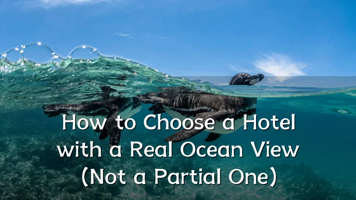 How to Choose a Hotel with a Real Ocean View (Not a Partial One)