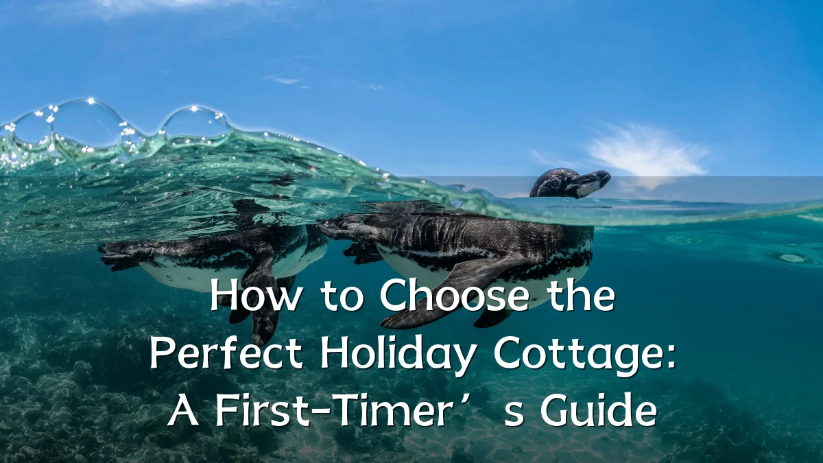 How to Choose the Perfect Holiday Cottage: A First-Timer’s Guide