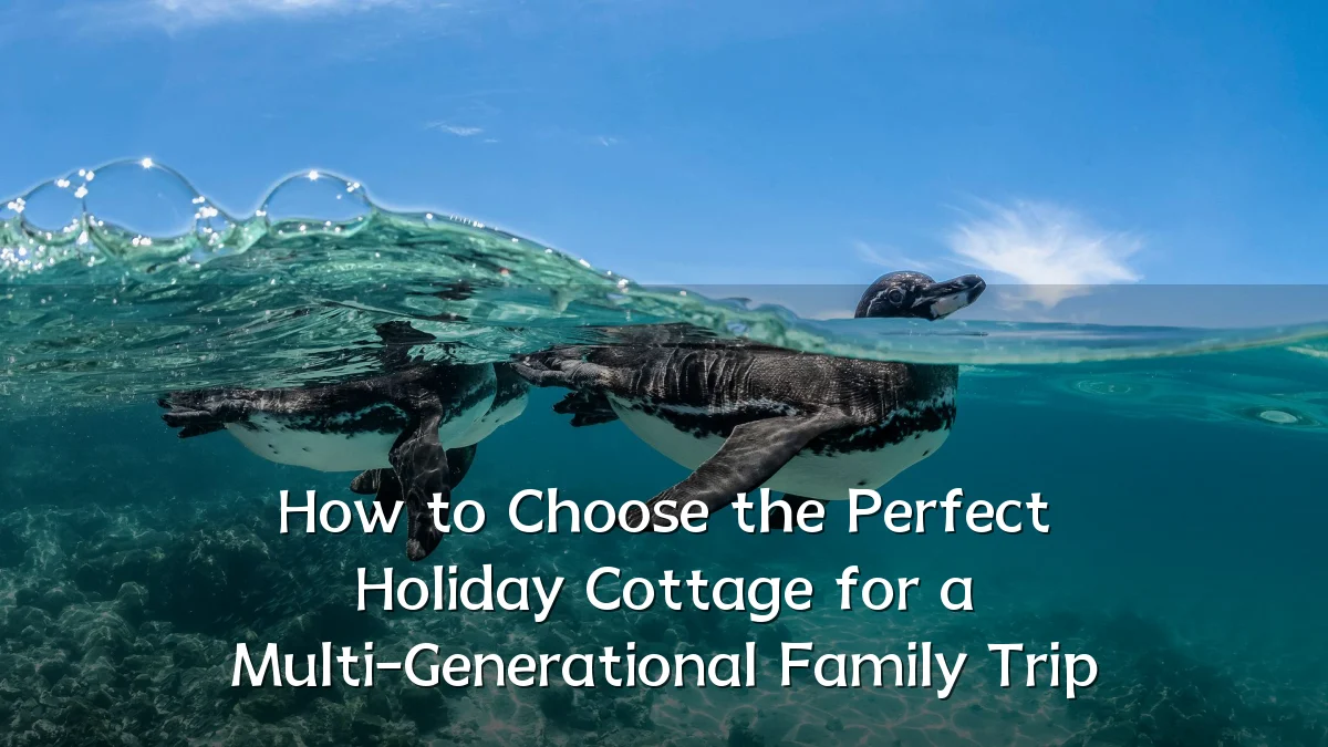 How to Choose the Perfect Holiday Cottage for a Multi-Generational Family Trip