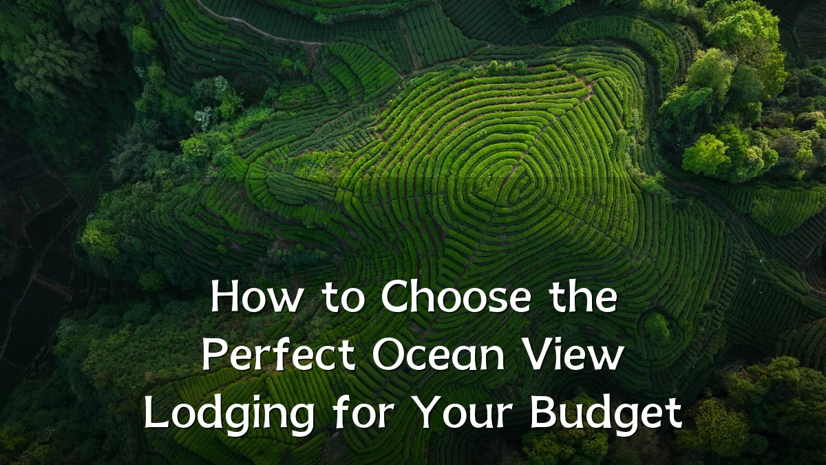 How to Choose the Perfect Ocean View Lodging for Your Budget