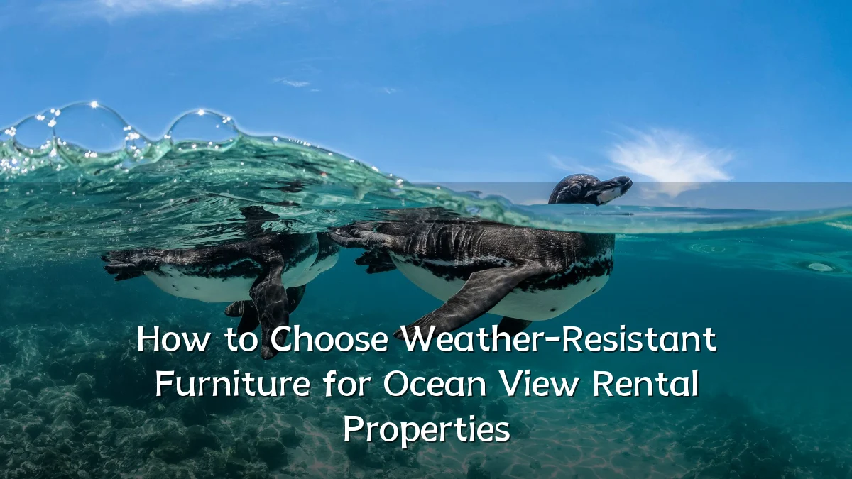 How to Choose Weather-Resistant Furniture for Ocean View Rental Properties