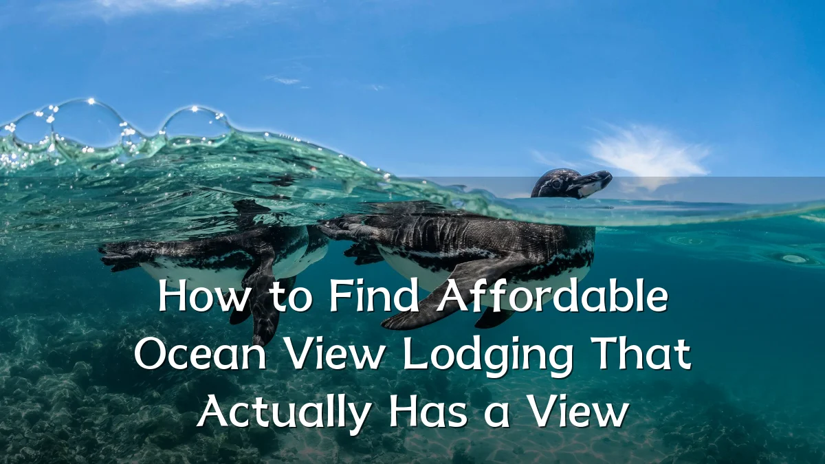 How to Find Affordable Ocean View Lodging That Actually Has a View