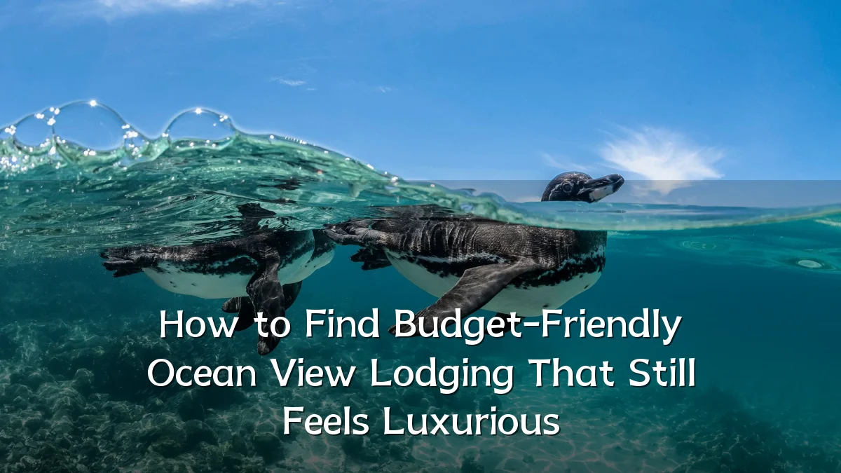 How to Find Budget-Friendly Ocean View Lodging That Still Feels Luxurious