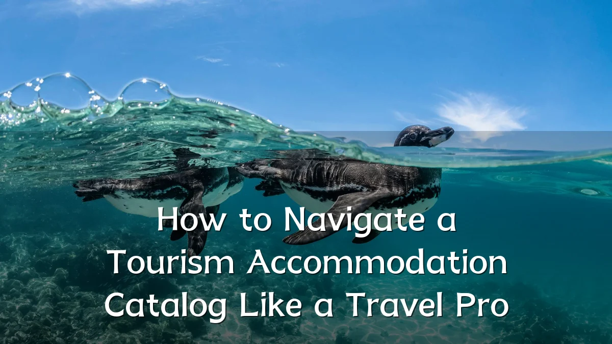 How to Navigate a Tourism Accommodation Catalog Like a Travel Pro