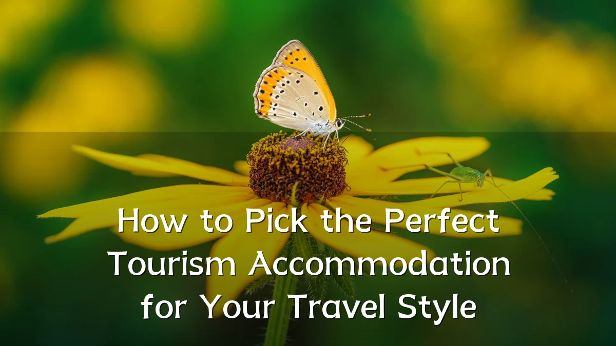 How to Pick the Perfect Tourism Accommodation for Your Travel Style