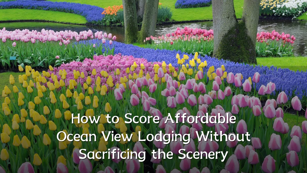 How to Score Affordable Ocean View Lodging Without Sacrificing the Scenery