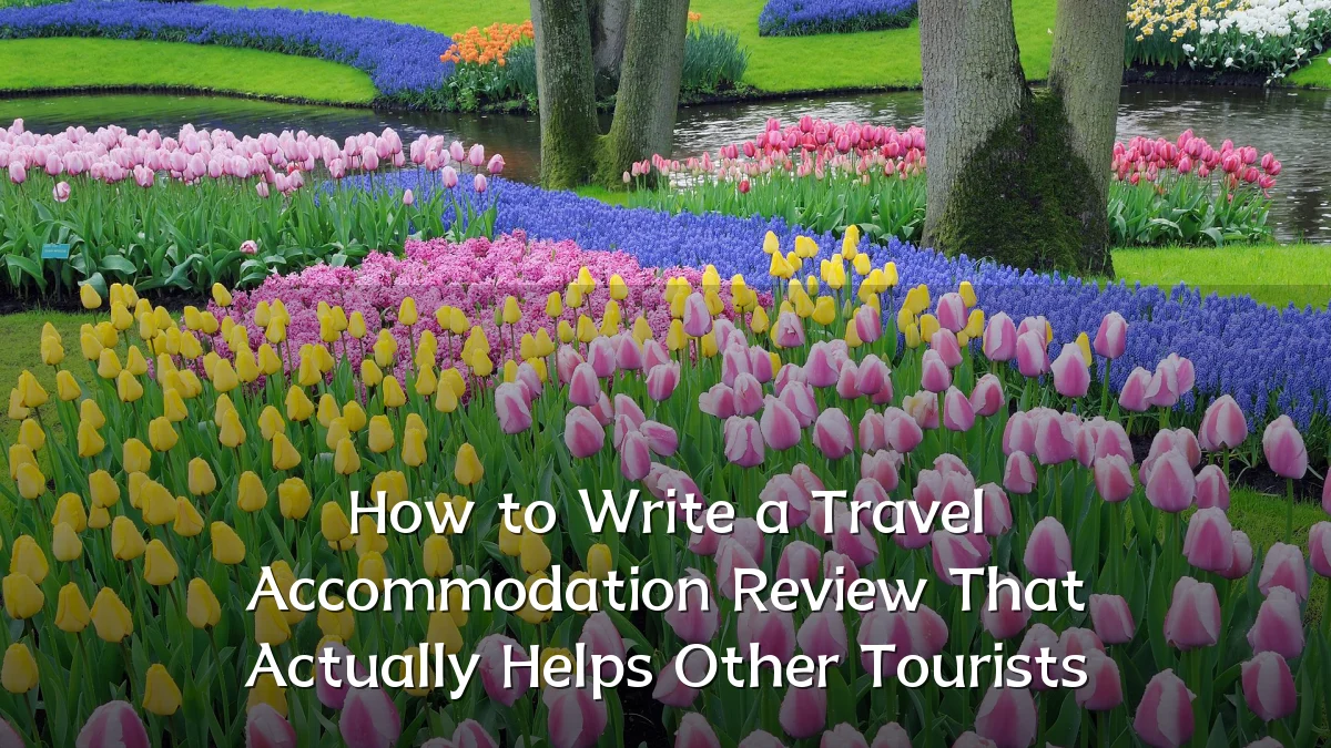 How to Write a Travel Accommodation Review That Actually Helps Other Tourists