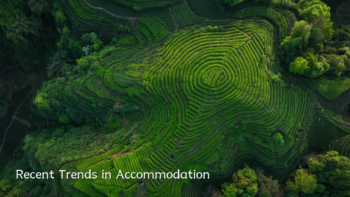 Recent Trends in Accommodation