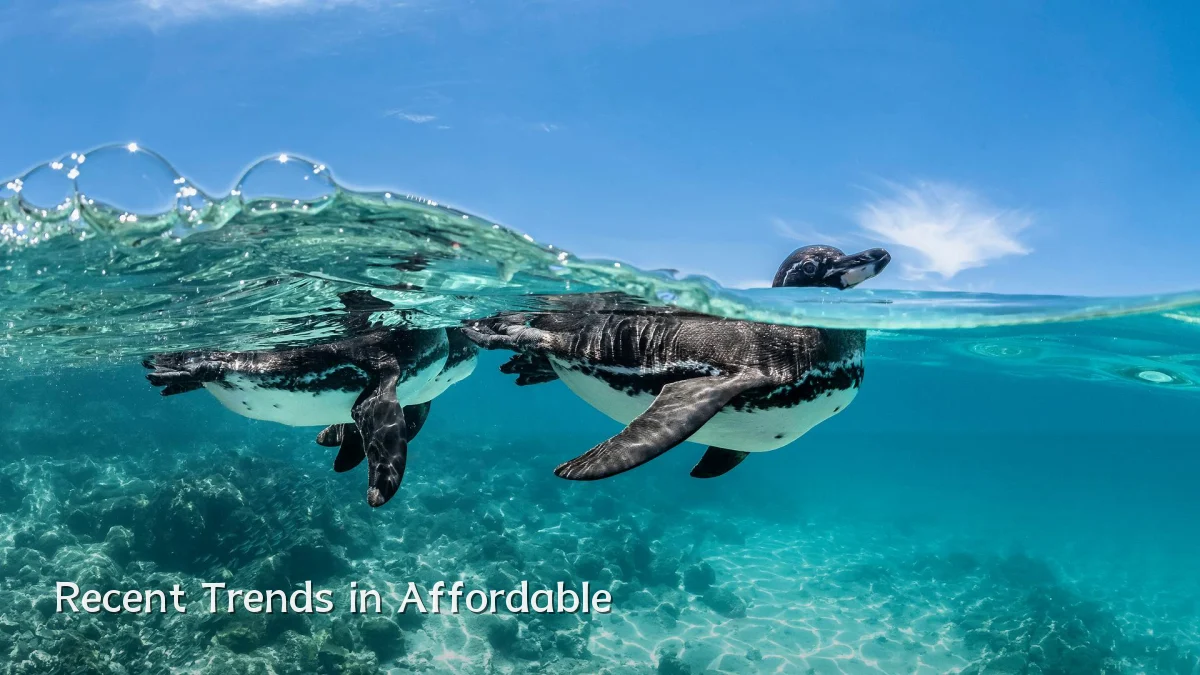 Recent Trends in Affordable