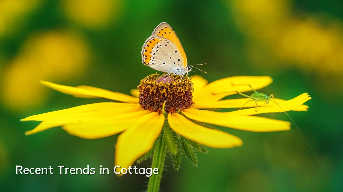 Recent Trends in Cottage