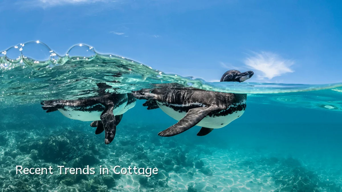 Recent Trends in Cottage