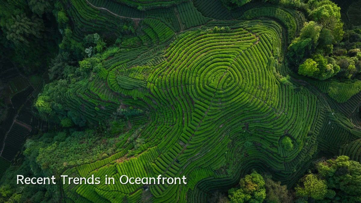 Recent Trends in Oceanfront